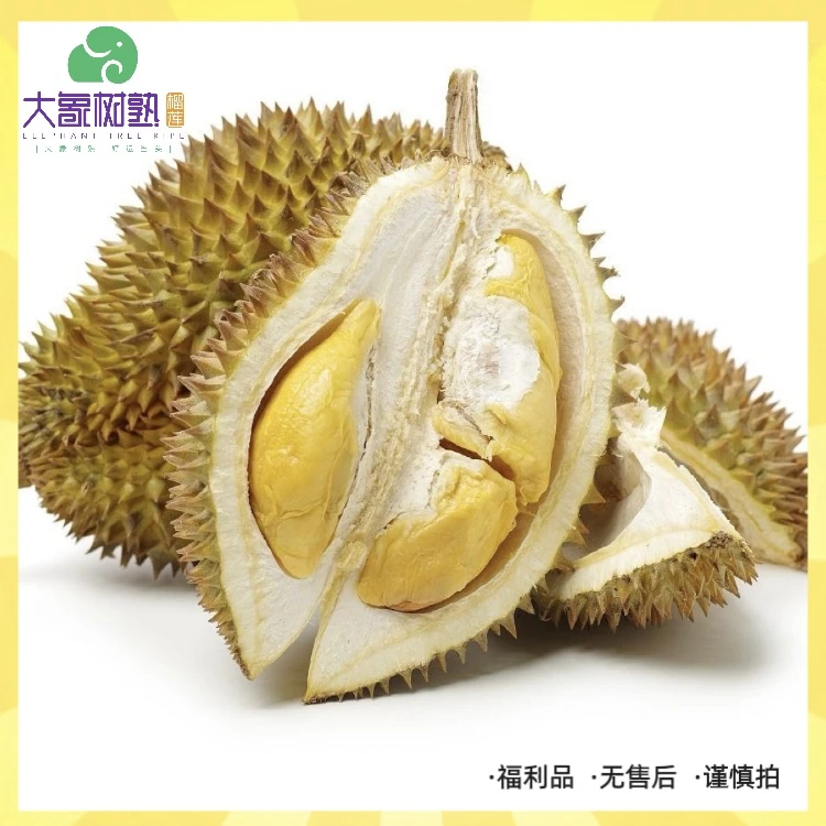 【福田】特价果 无售后 谨慎拍 金枕榴莲 深圳小时达【大象树熟榴莲】