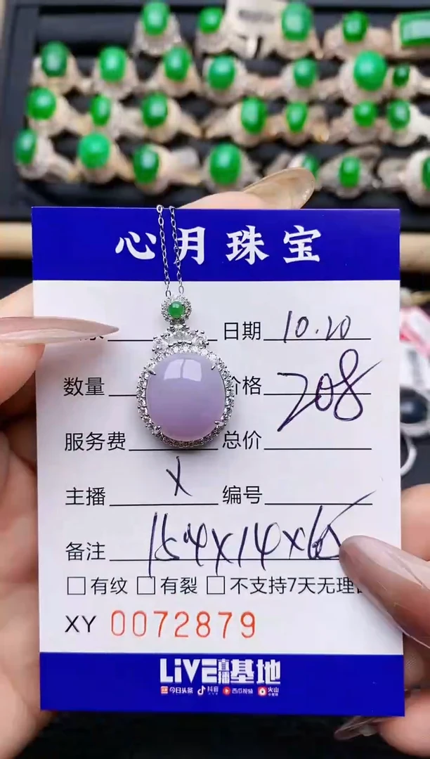 【闪购商品】翡翠颈饰银S925镶嵌/2879