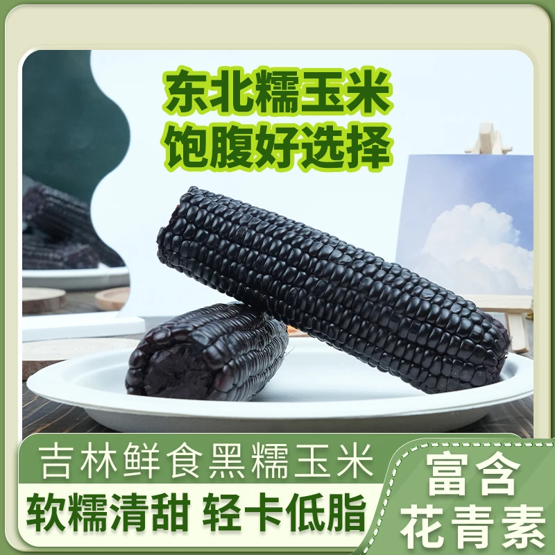 东北黑糯玉米10支大棒实重250-300g整箱5.5斤