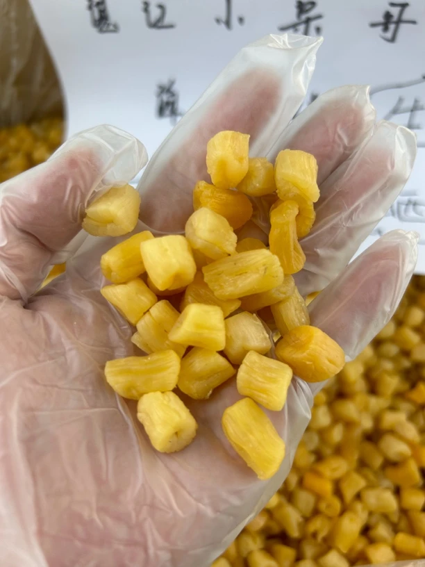 湛江本港生晒瑶柱干贝400头无盐纯天然0添加海鲜干货送礼佳品