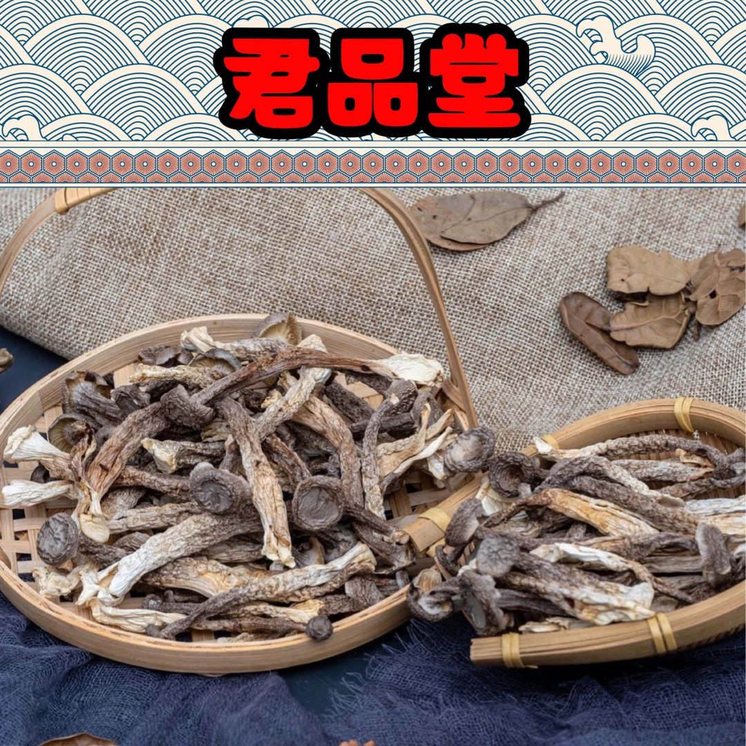 （君品堂）干货……鹿茸菇