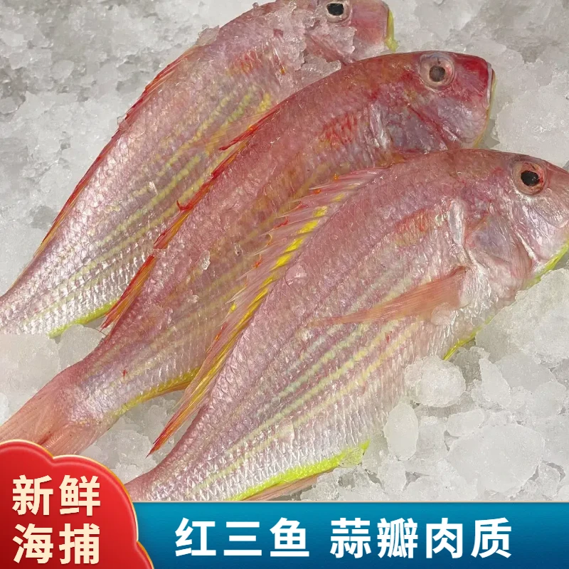 L新鲜红三鱼红杉鱼10条  约2条斤 原条速冻(不帮杀)  顺丰包邮