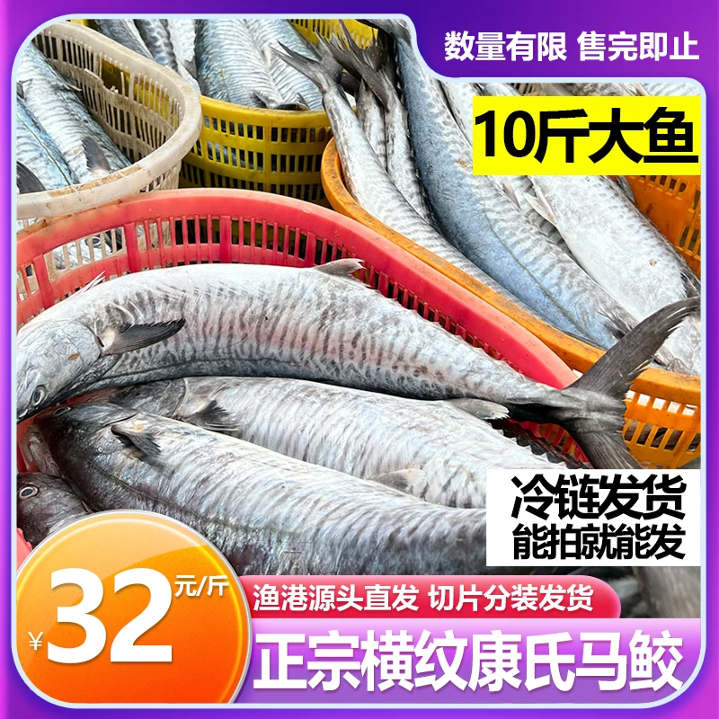 32元/斤10斤大马鲛鱼(原条代切正宗横纹康氏海捕冷链发货