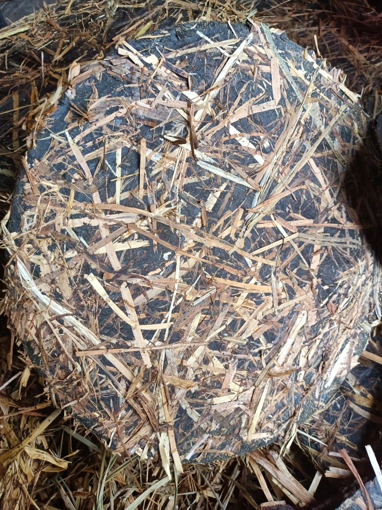 休闲野钓菜籽饼打窝(不规则小块5斤装)