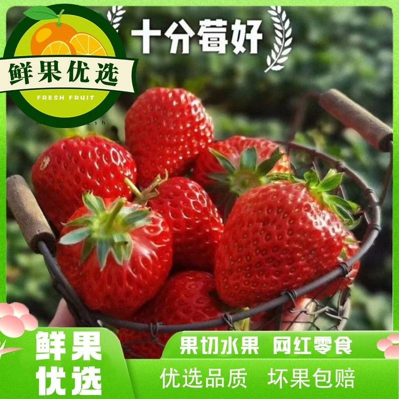 【颗颗精选】丹东草莓  200克 口感上来了