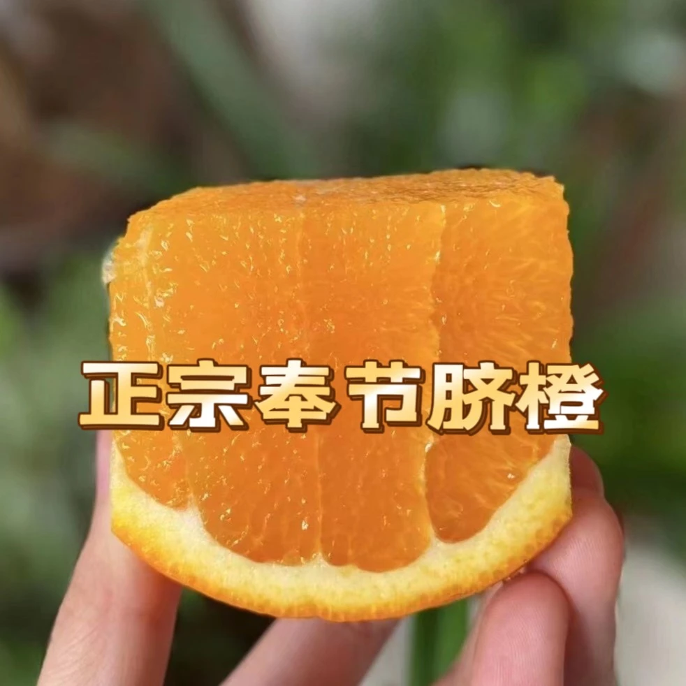 【顺丰包邮】正宗奉节脐橙-纽荷尔（大果）现摘现发 香甜浓厚口感脆甜