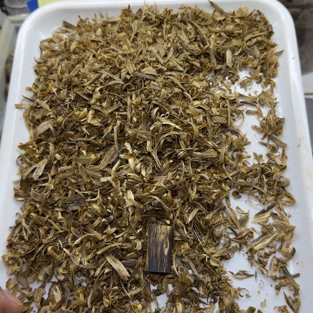 沉香浩*沉香莺歌绿奇楠10号