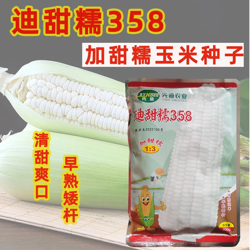 迪甜糯358加甜糯玉米种子口感清甜爽口早熟矮杆甜糯玉米种籽