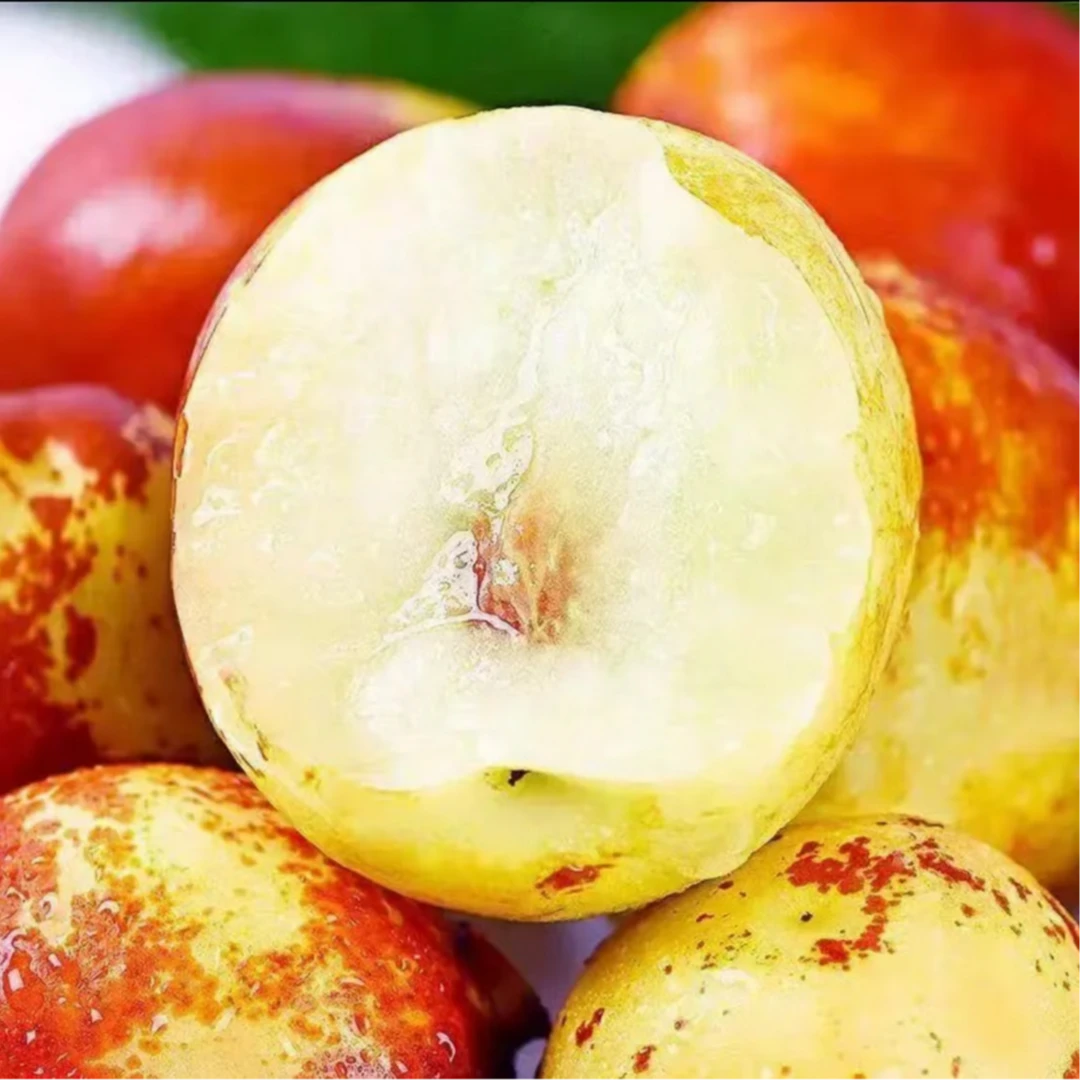 现摘沾化大冬枣新鲜水果当季枣子脆枣鲜枣甜冬枣批发