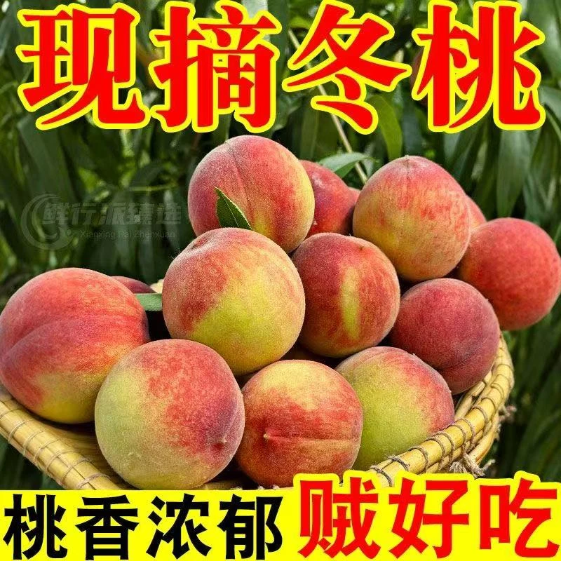 (粉丝福利)云南冬桃脆甜小毛桃脆甜可口果园直发新鲜现摘现发桃子