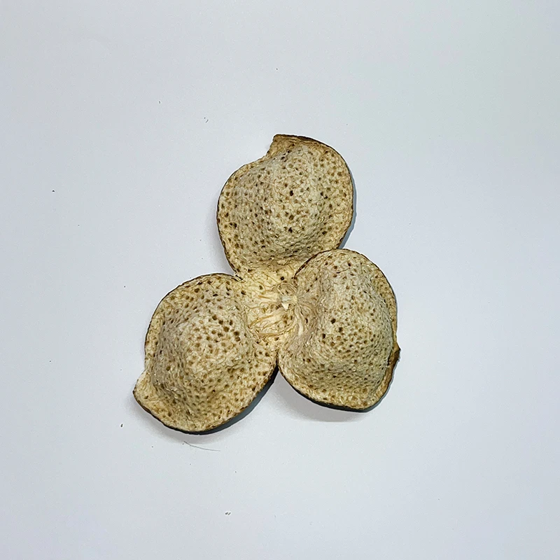 福袋2019梅江大红整皮