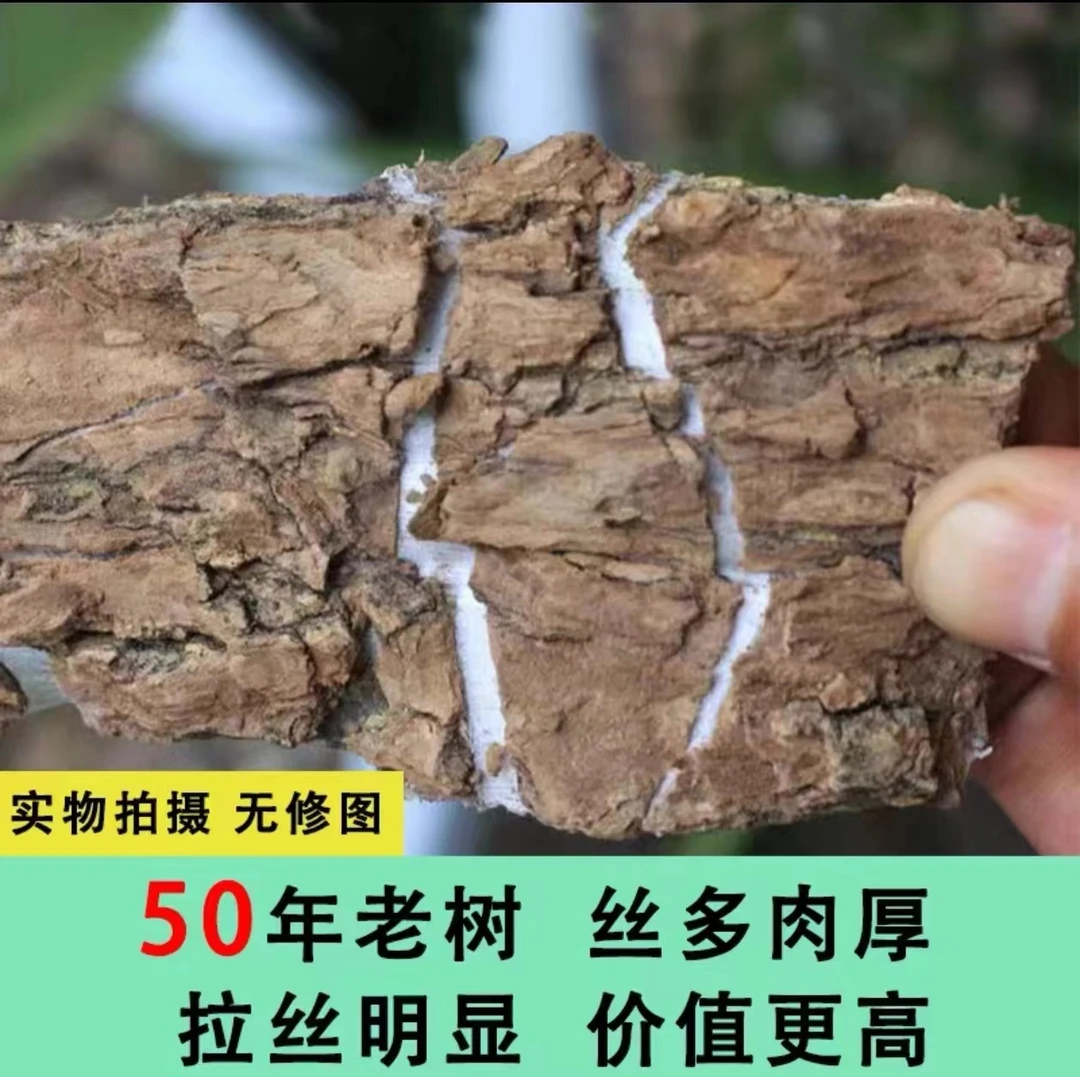 杜仲精选精品货原生态