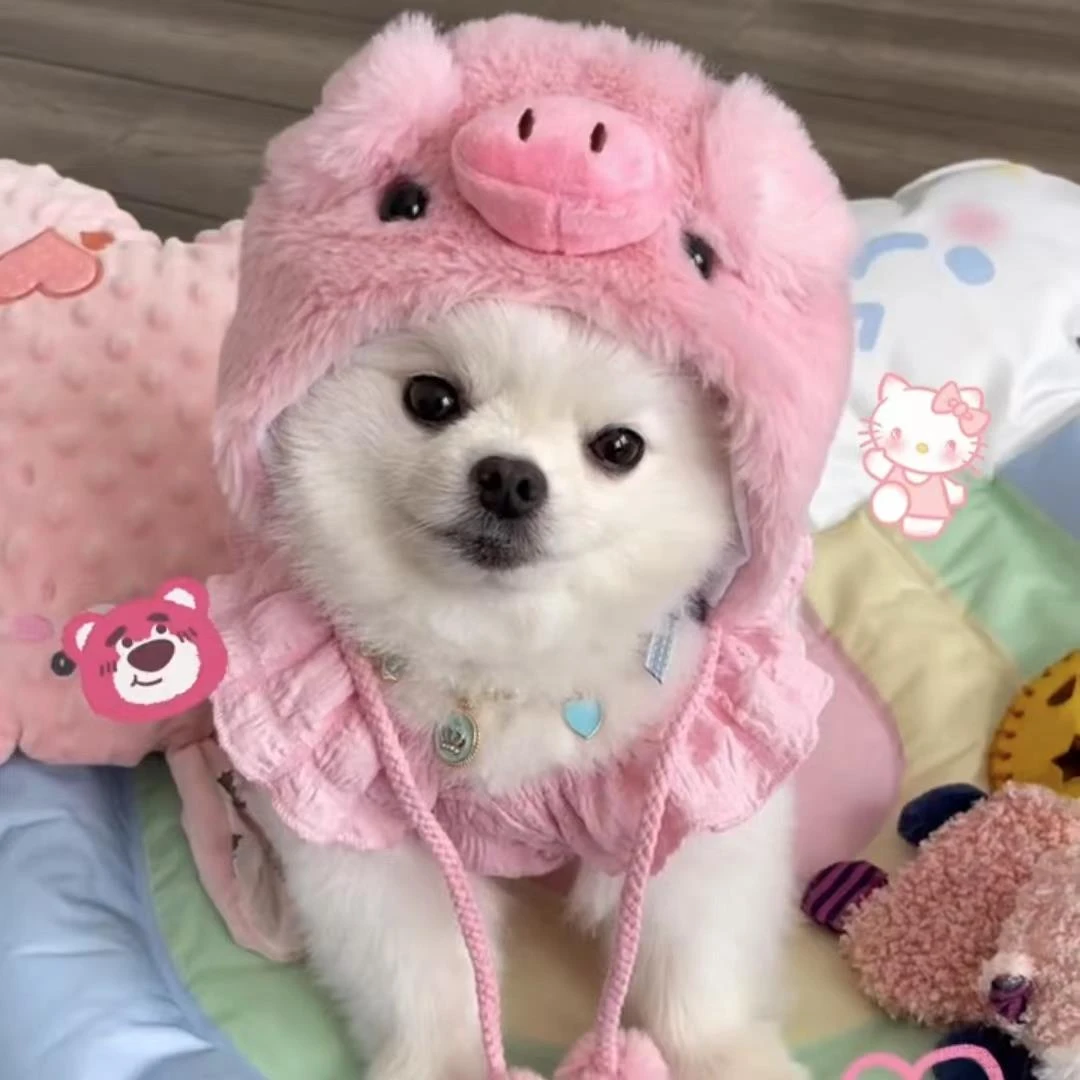 ++博美专用狗狗帽子搞笑搞怪冬季可爱头套宠物小型犬头饰配饰装饰