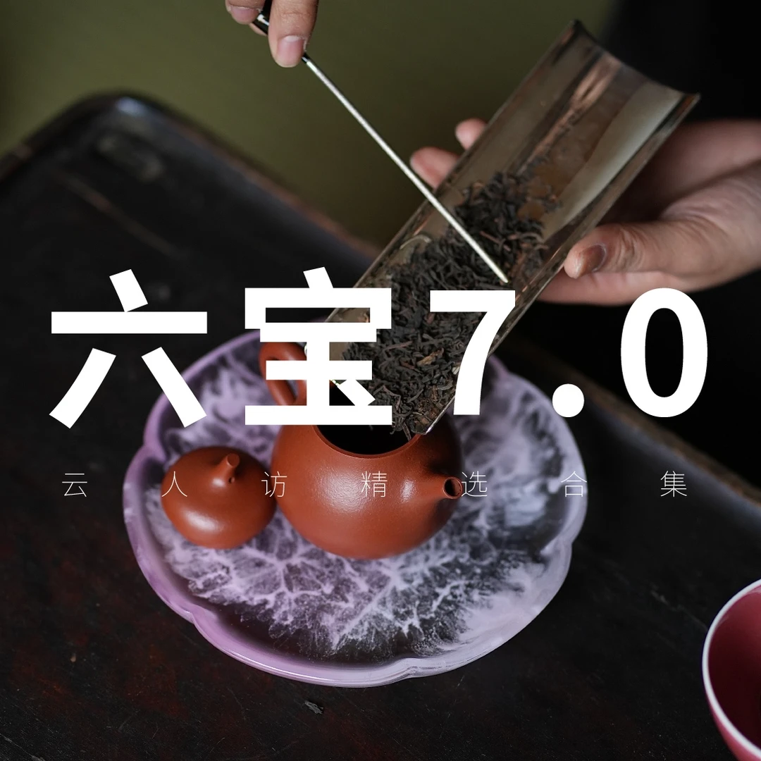 【六宝7.0 】六堡茶品鉴合集 60克 云人访