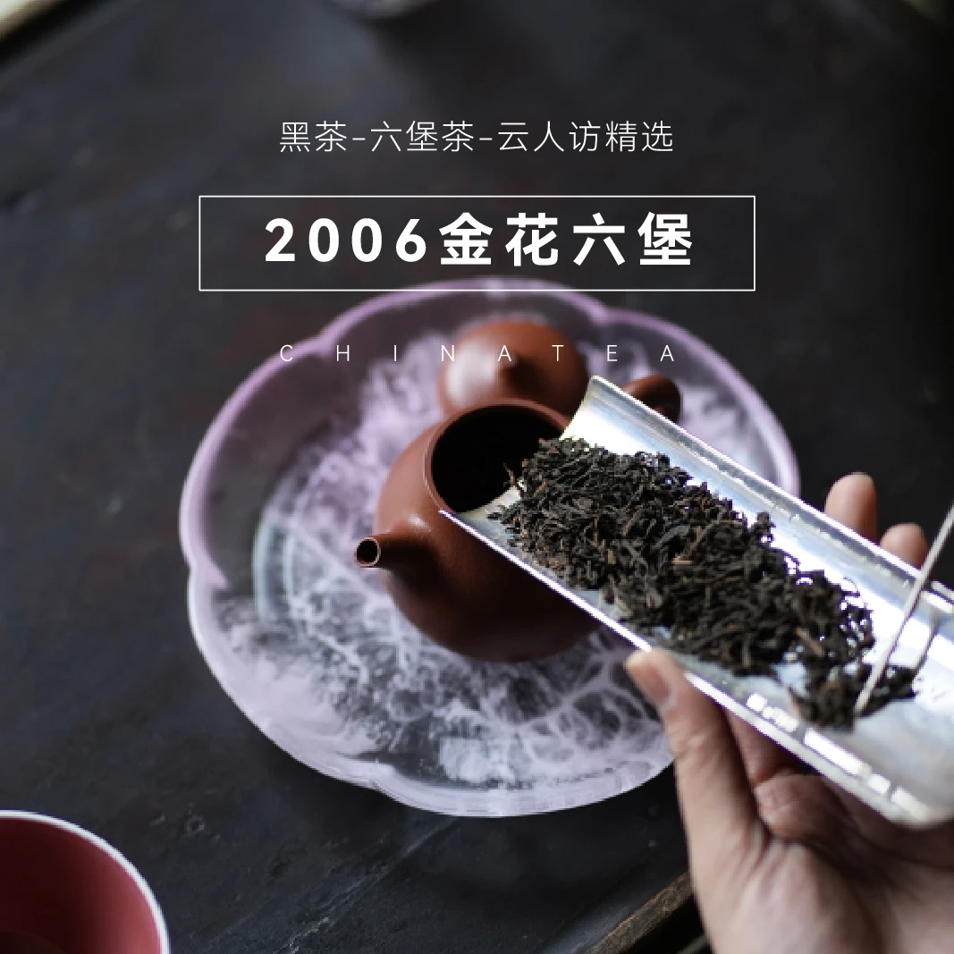 【金花六堡】2006年六堡茶 菌花香 茶叶黑茶六堡茶 云人访