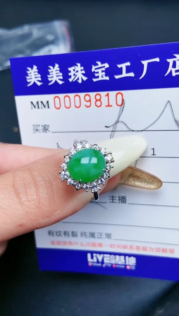 【闪购商品】翡翠颈饰银S925镶嵌9810
