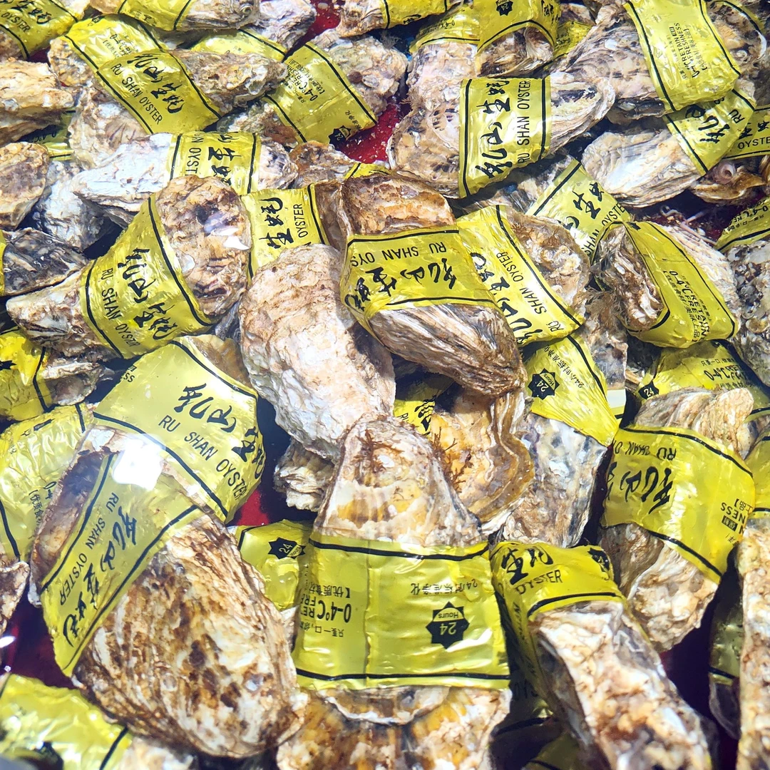 新鲜生蚝 6 个(冰鲜打包)