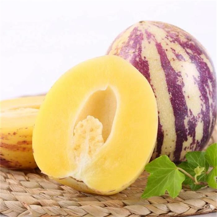 人参果 约 500g±50g/份量