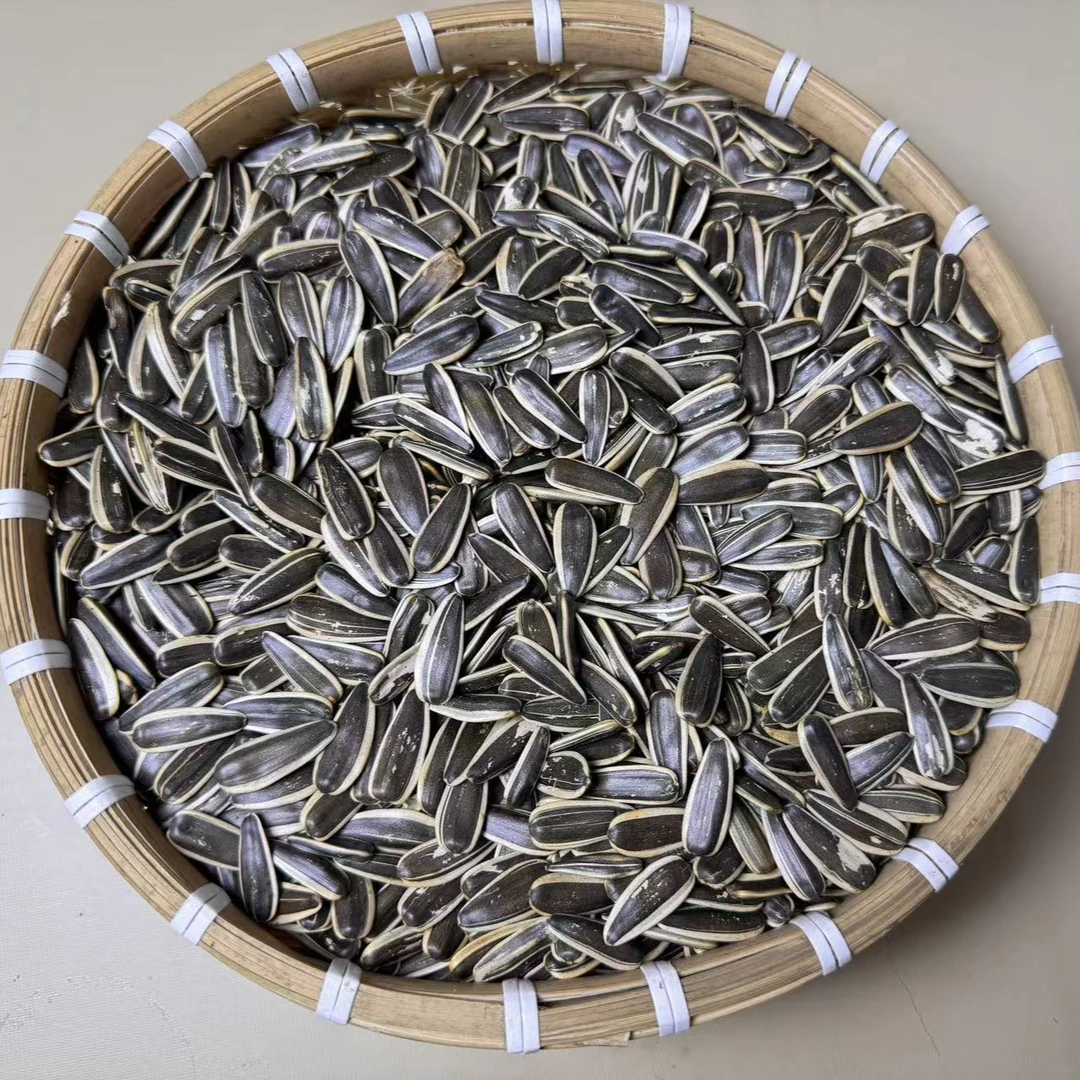 现炒当年葵花子原味瓜子散装称重新疆363中大颗无添加剂