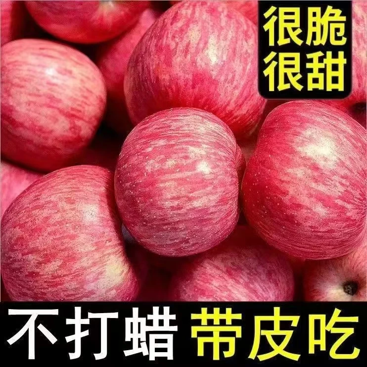 2024年当季新果正宗陕西洛川红富士苹果脆甜新鲜冰糖心5/10斤包邮