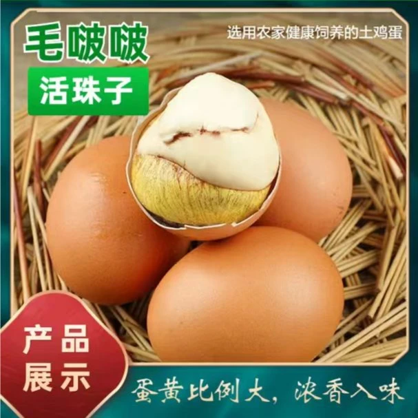 【主播专属】十三天活珠子五香香辣味钢化蛋新鲜营养即食新鲜