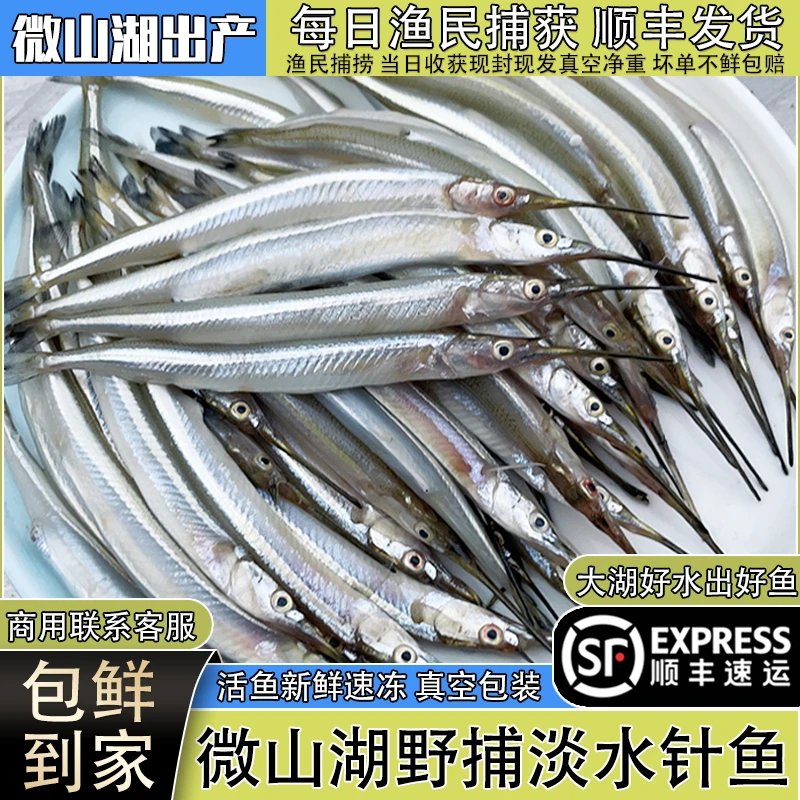 微山湖淡水银针鱼新鲜活鱼速冻真空生鲜面筋鱼油炸小鱼面条鱼顺丰