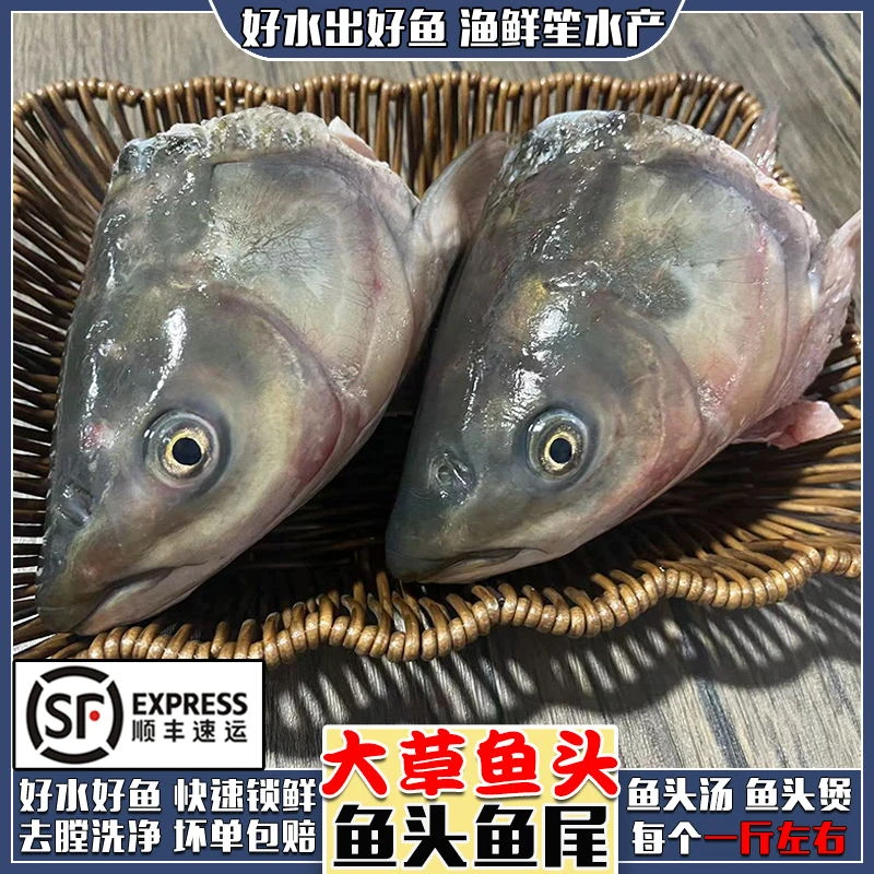 微山湖新鲜大草鱼头现杀腊鱼尾巴剁椒鱼头汤煲鱼唇鱼嘴商用发顺丰