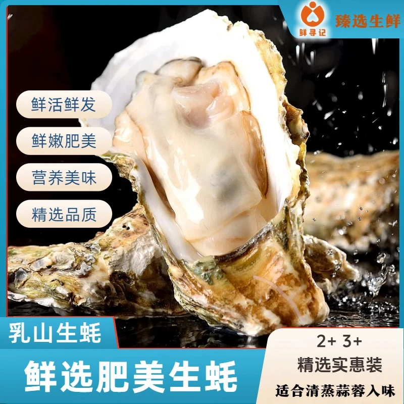 Z【到手10斤正宗精品乳山生蚝】帝王蚝7两-1斤买5斤送5斤共10斤鲜活