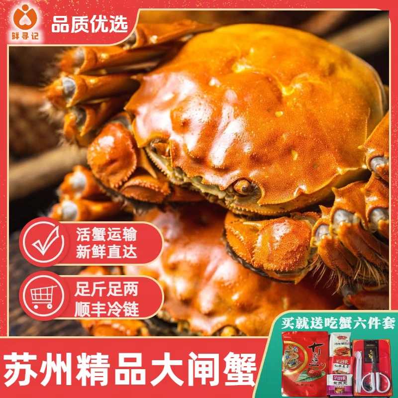 【全母蟹3.0两】苏州精品大闸蟹活蟹 全母盛宴 8只 10只 12只