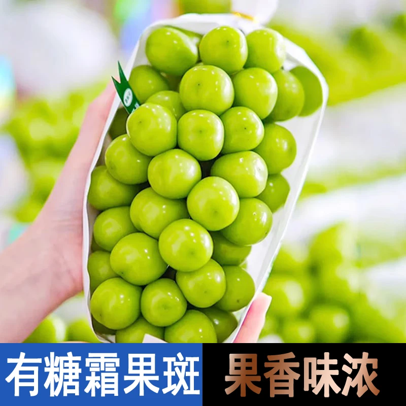 【京东|顺丰】阳光玫瑰葡萄 新鲜水果青提正宗晴王纯甜爽口