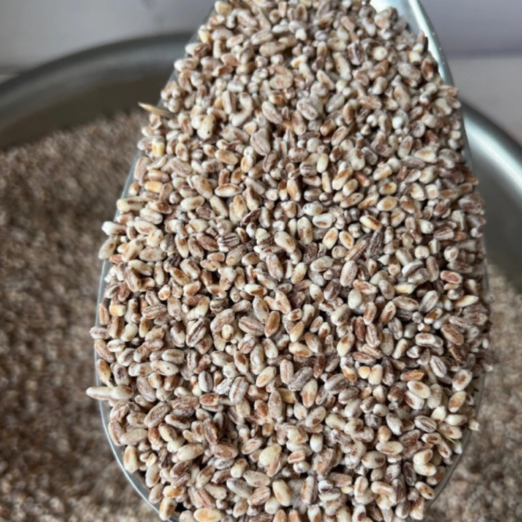 黑龙江大兴安岭本地黑小麦普通小麦5斤/10斤