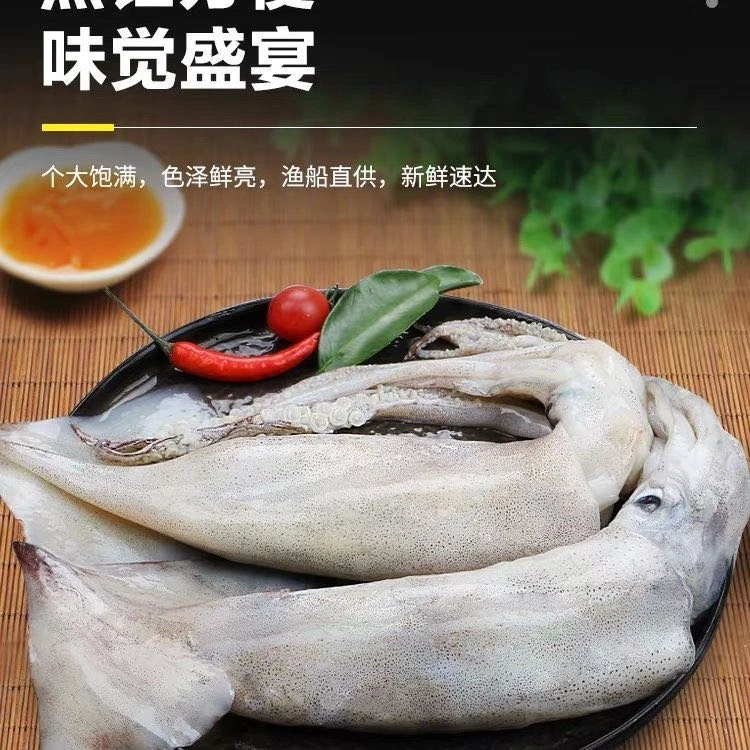超大鱿鱼 生鲜活冻新鲜深海鱿鱼  2.5公斤