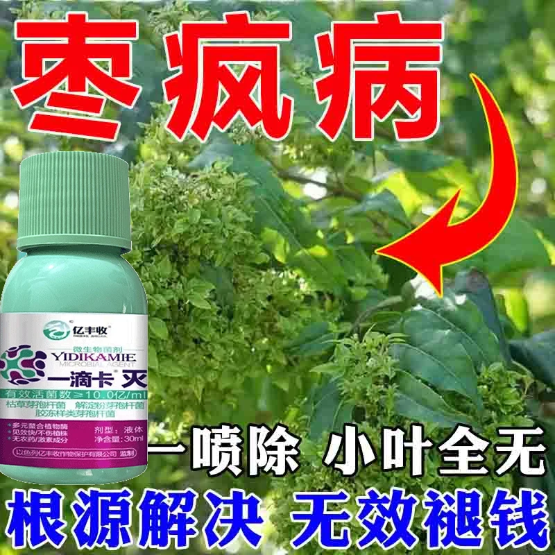 枣树专用剂小叶病枣疯病全治防缩果裂果丛枝扫帚火龙病毒病杀菌剂