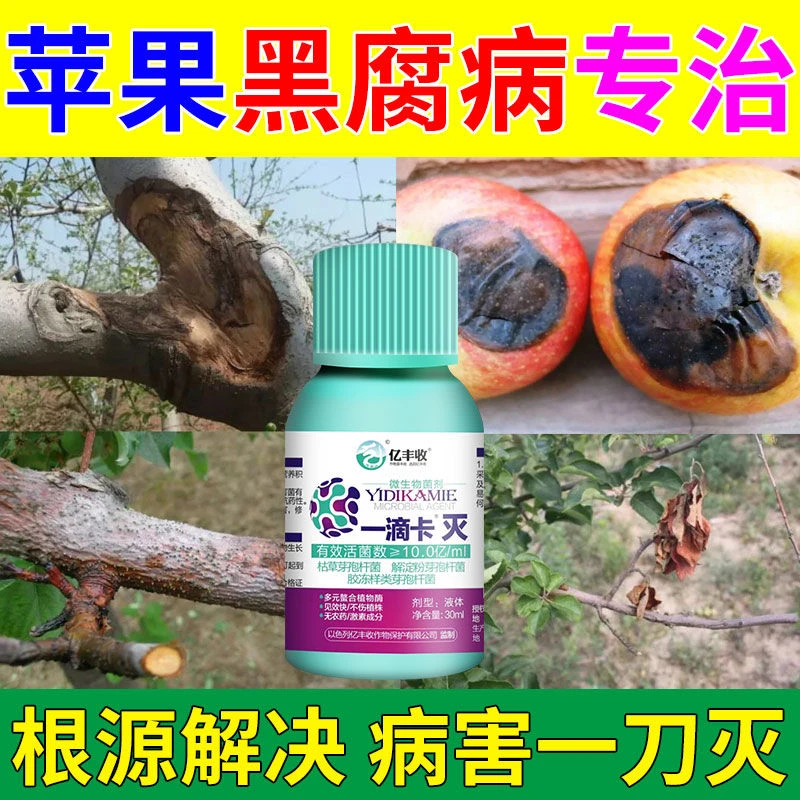 苹果树专用药黑腐炭疽黑点灰斑白粉病果锈全治提质增产专用杀菌剂