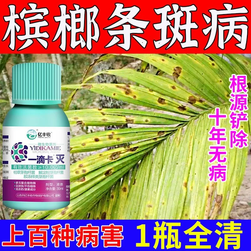 槟榔烂心病专用药微生物菌剂槟榔病叶斑炭疽果腐烟煤病芽腐条斑病