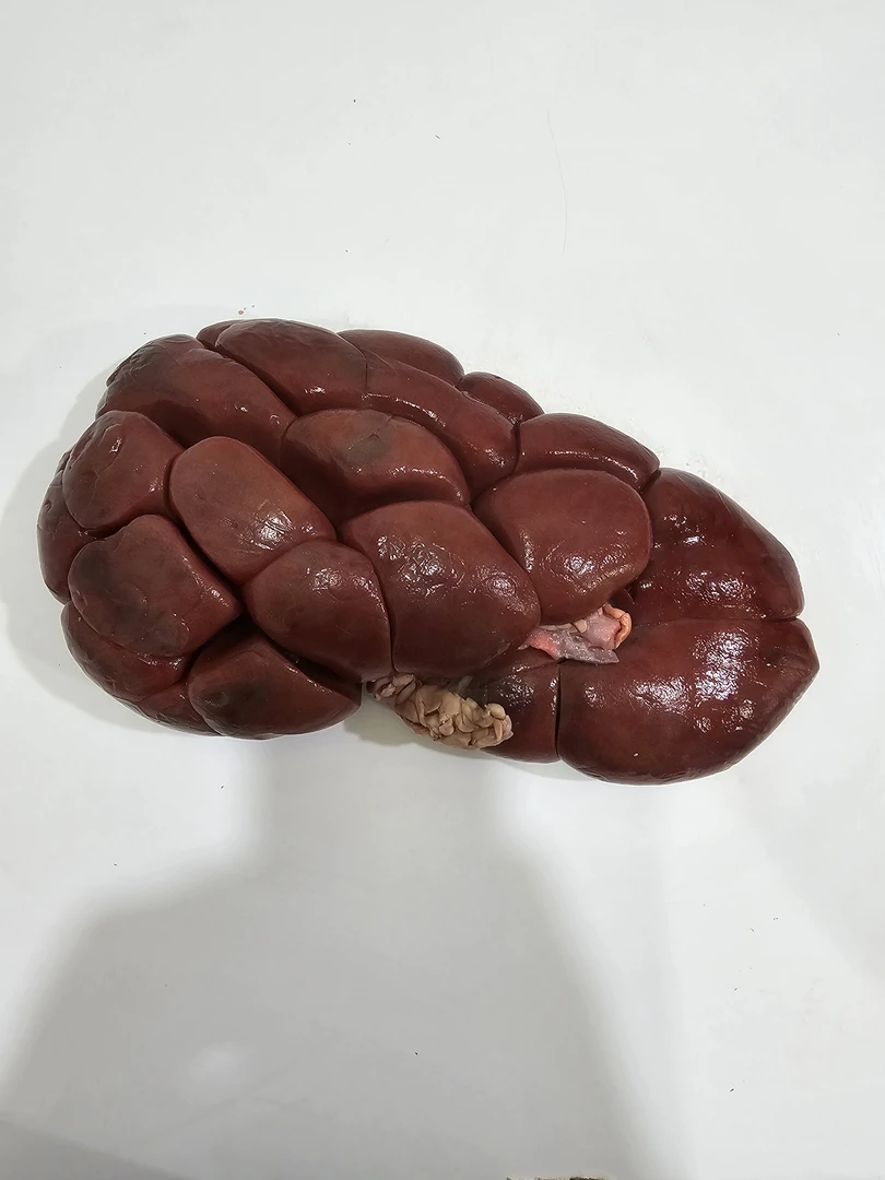 清真 牛腰子 爆炒牛腰 孜然牛腰 烧烤食材