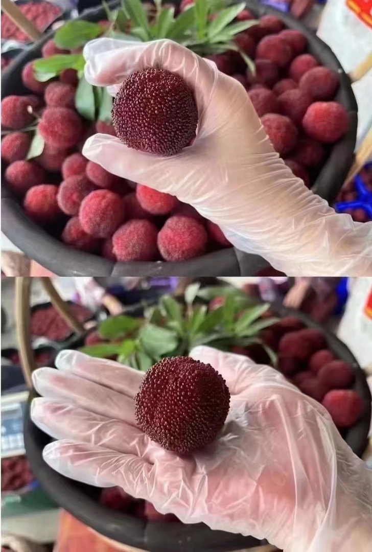 8A颗粒精品90粒包装