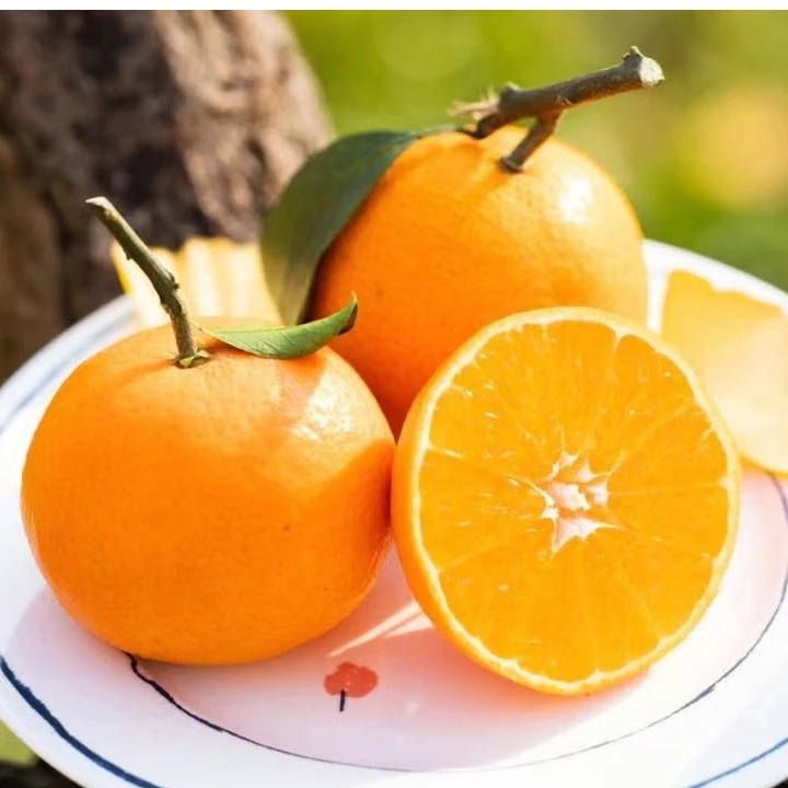 正宗四川爱媛果冻橙38号现摘现发应季水果4.5斤