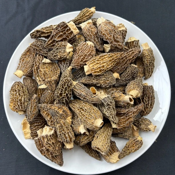新鲜头茬羊肚菌炖花胶蒸蛋蒸瘦肉
