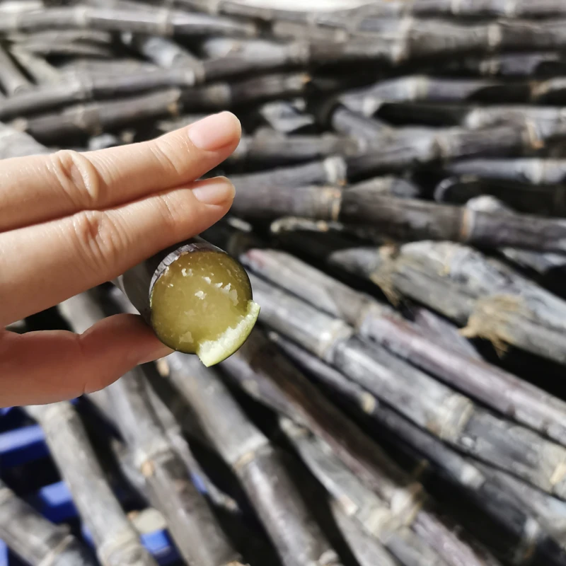 广西黑皮细甘蔗5斤新鲜水果脆甜多汁应当季孕妇甜杆果蔗整箱特产