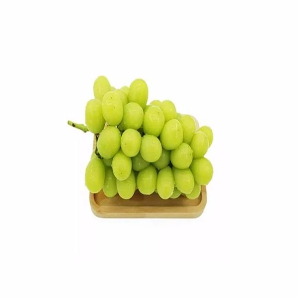 阳光玫瑰青提250g