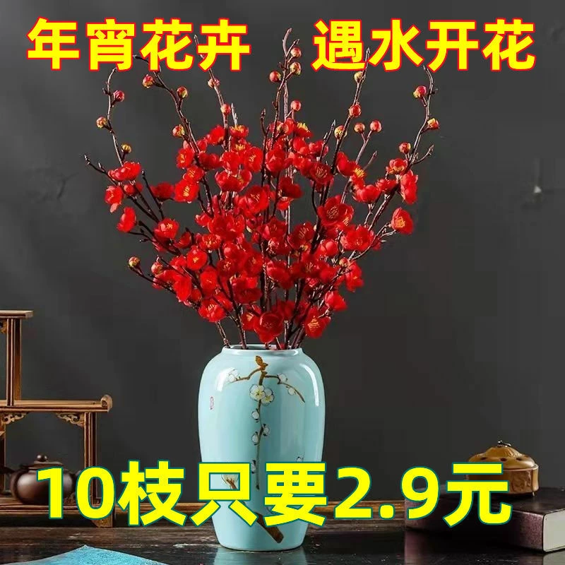干枝红梅冬季水养水培植物带花苞红梅花枝耐寒好养新年装饰年宵花