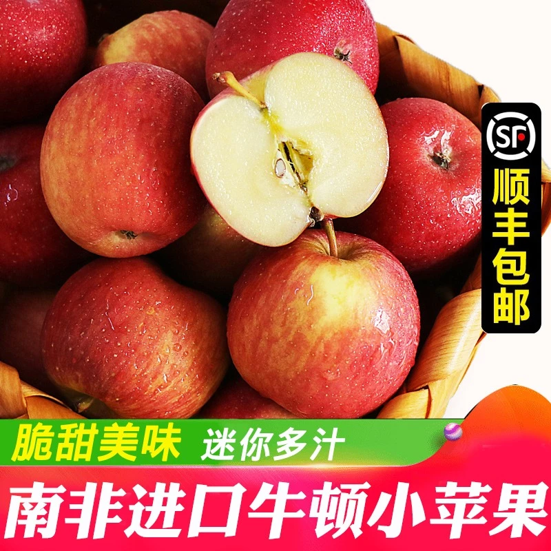 顺丰】南非牛顿小苹果水果 冰糖脆甜新鲜进口gala果加力果姬娜果