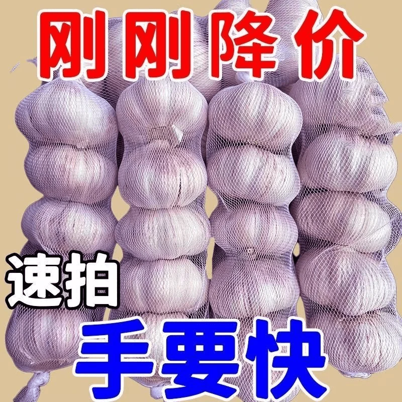 2024新蒜大蒜正宗紫白皮大蒜大蒜头干蒜2斤3斤5斤大蒜可种植50g