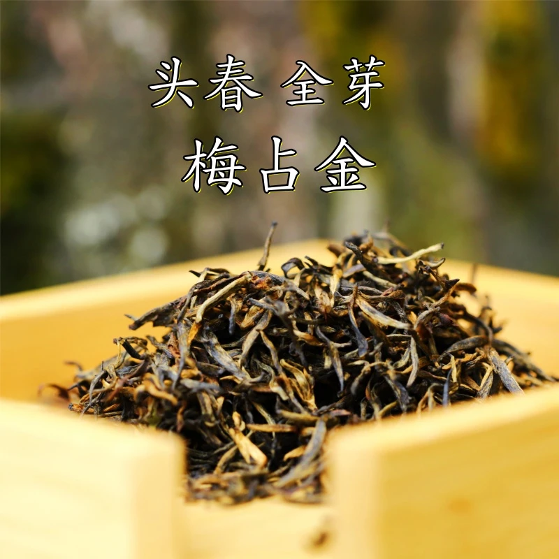 头春新茶荒野梅占金骏眉/非遗杨伟强的茶/花香红茶/100g香醇饱满