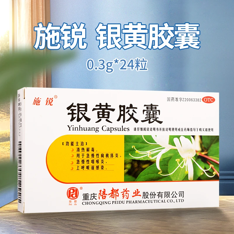 施锐银黄胶囊0.3g*24粒清热解毒急慢性扁桃体炎急慢性咽喉炎