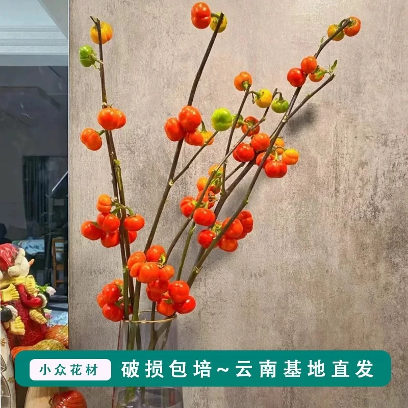 云南基地直发~番茄小南瓜家居软装装饰花材