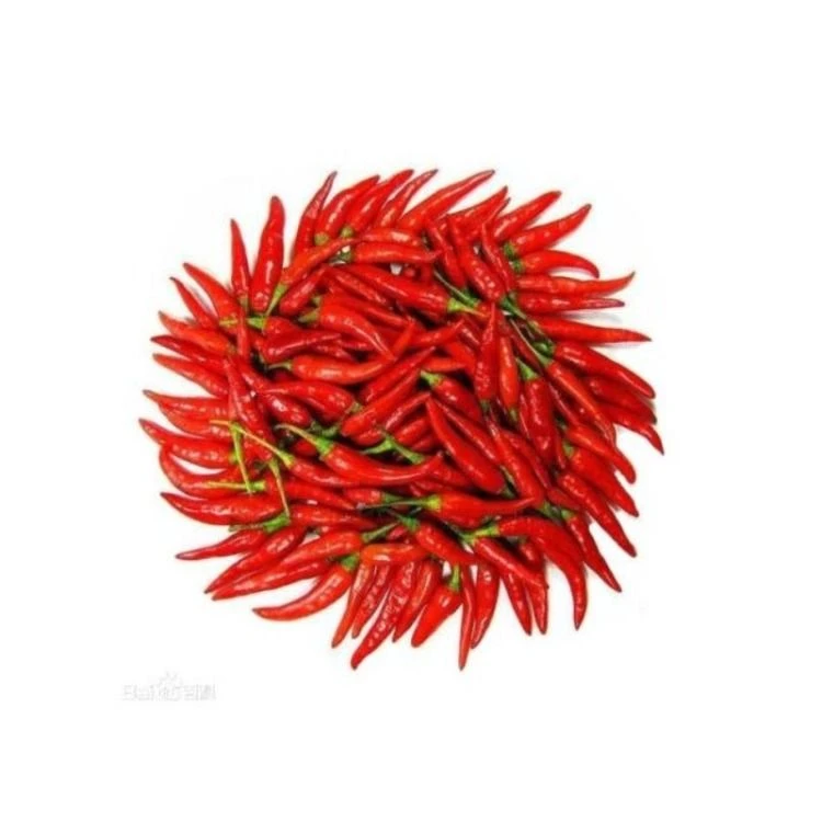 小米辣/朝天椒  80-100g