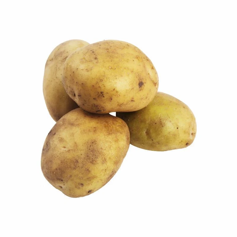 新鲜土豆 800-1000g【平价系列】土豆同城配