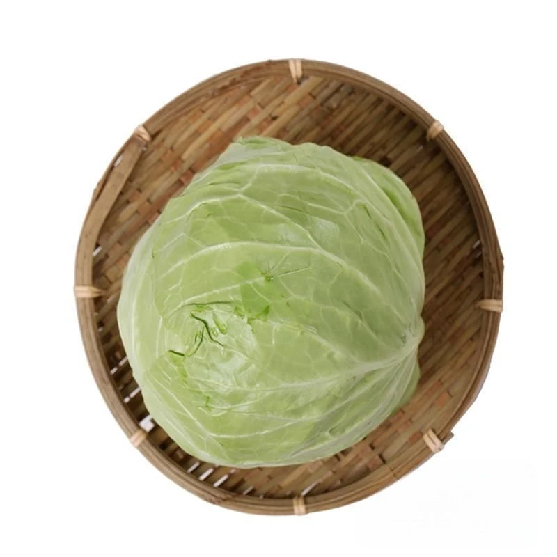 卷心包 约1700-2000g